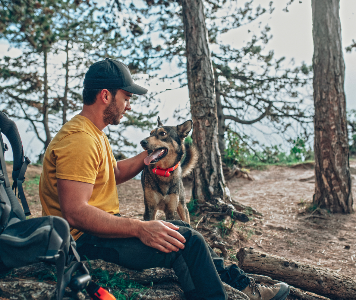 Built-in Leash on collar PEIKO® Quickleash™ 
