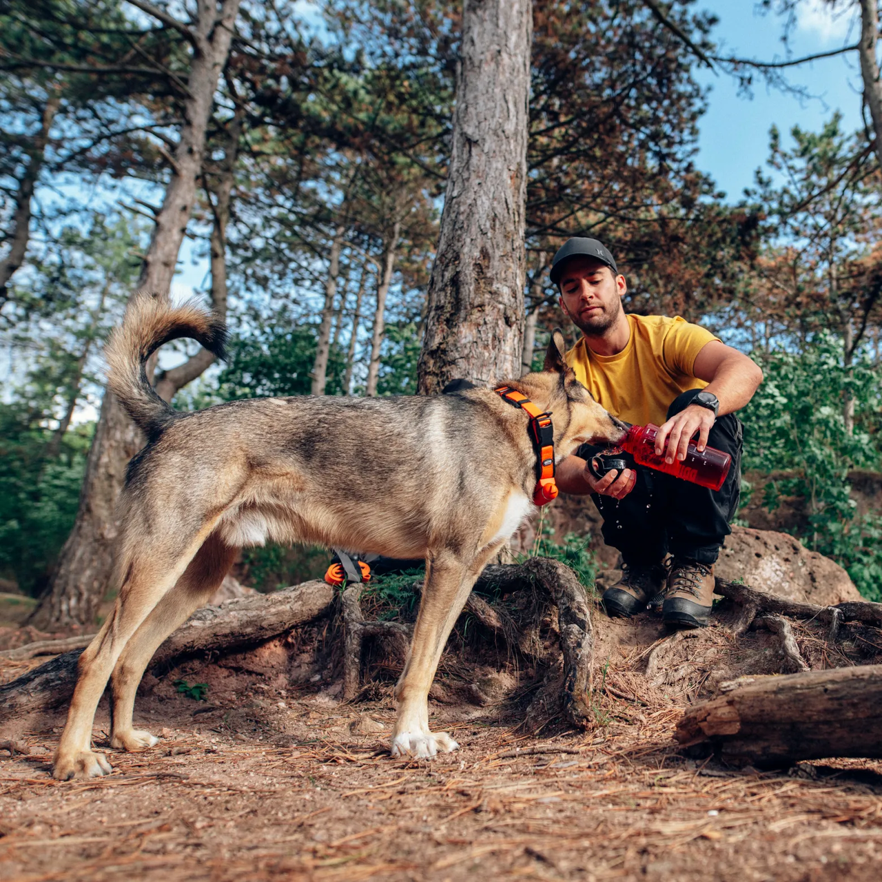 Built-in Leash on collar PEIKO® Quickleash™ 