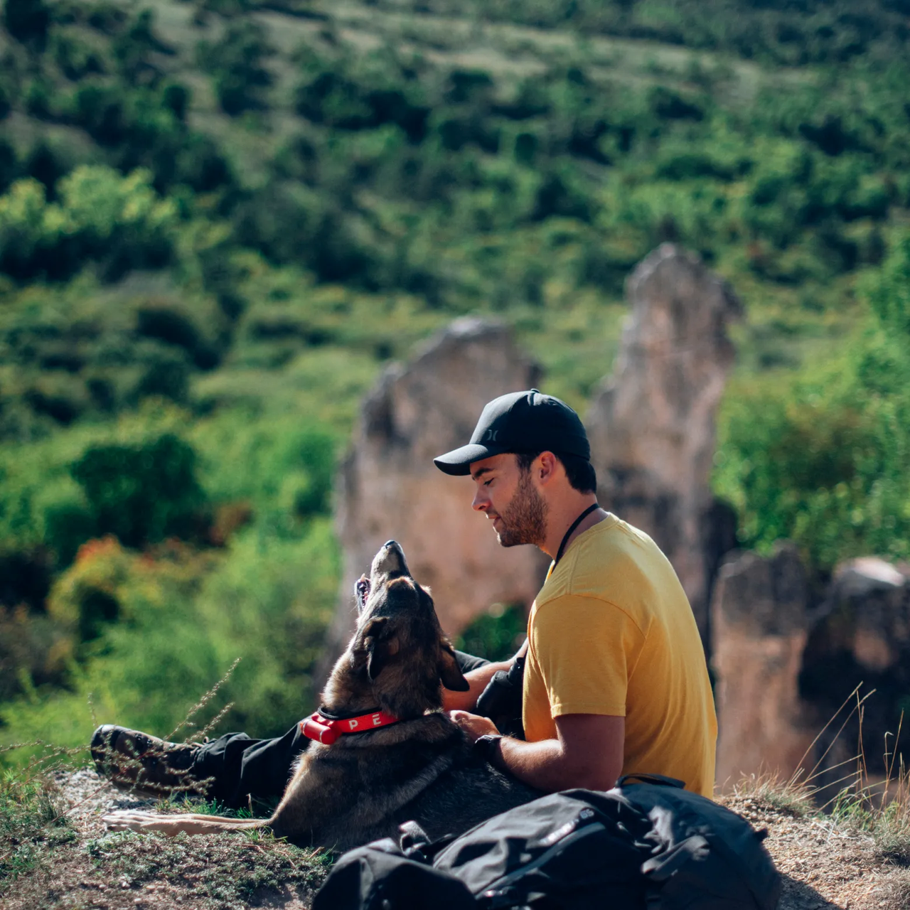 Built-in Leash on collar PEIKO® Quickleash™ 