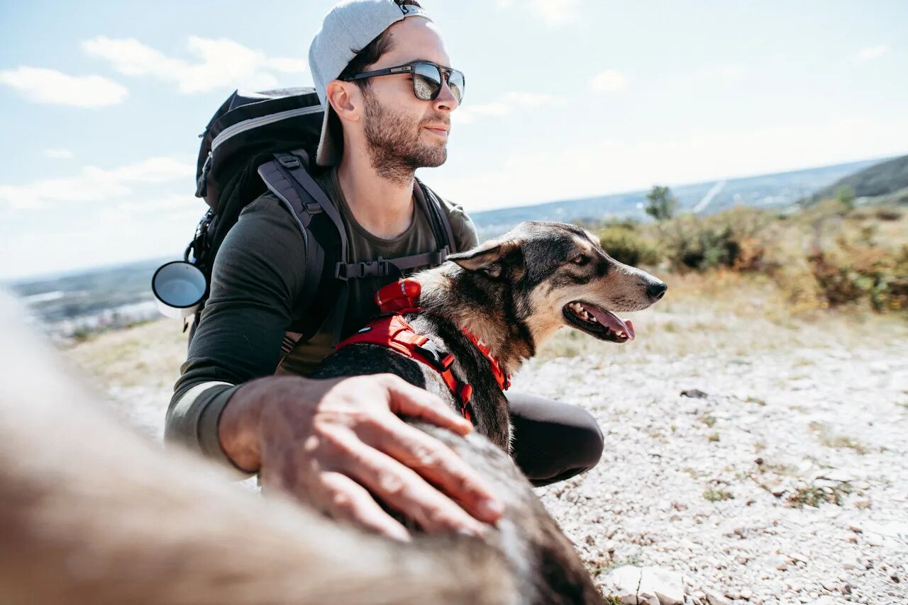 Built-in Leash on harness PEIKO® Quickleash™ 
