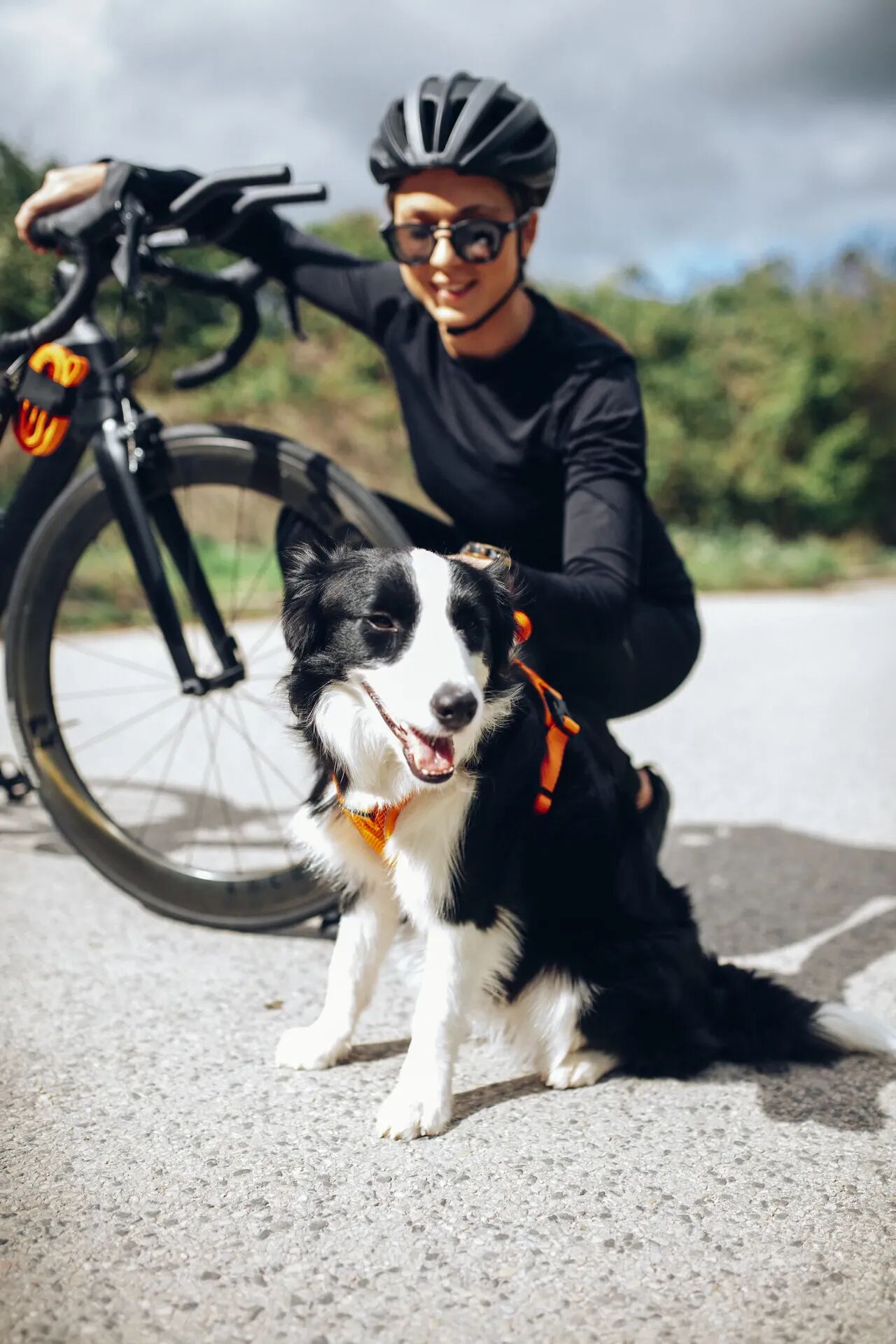 Girl biking with a border collie in orange PEIKO® QuickLeash™  harness in the mountains
