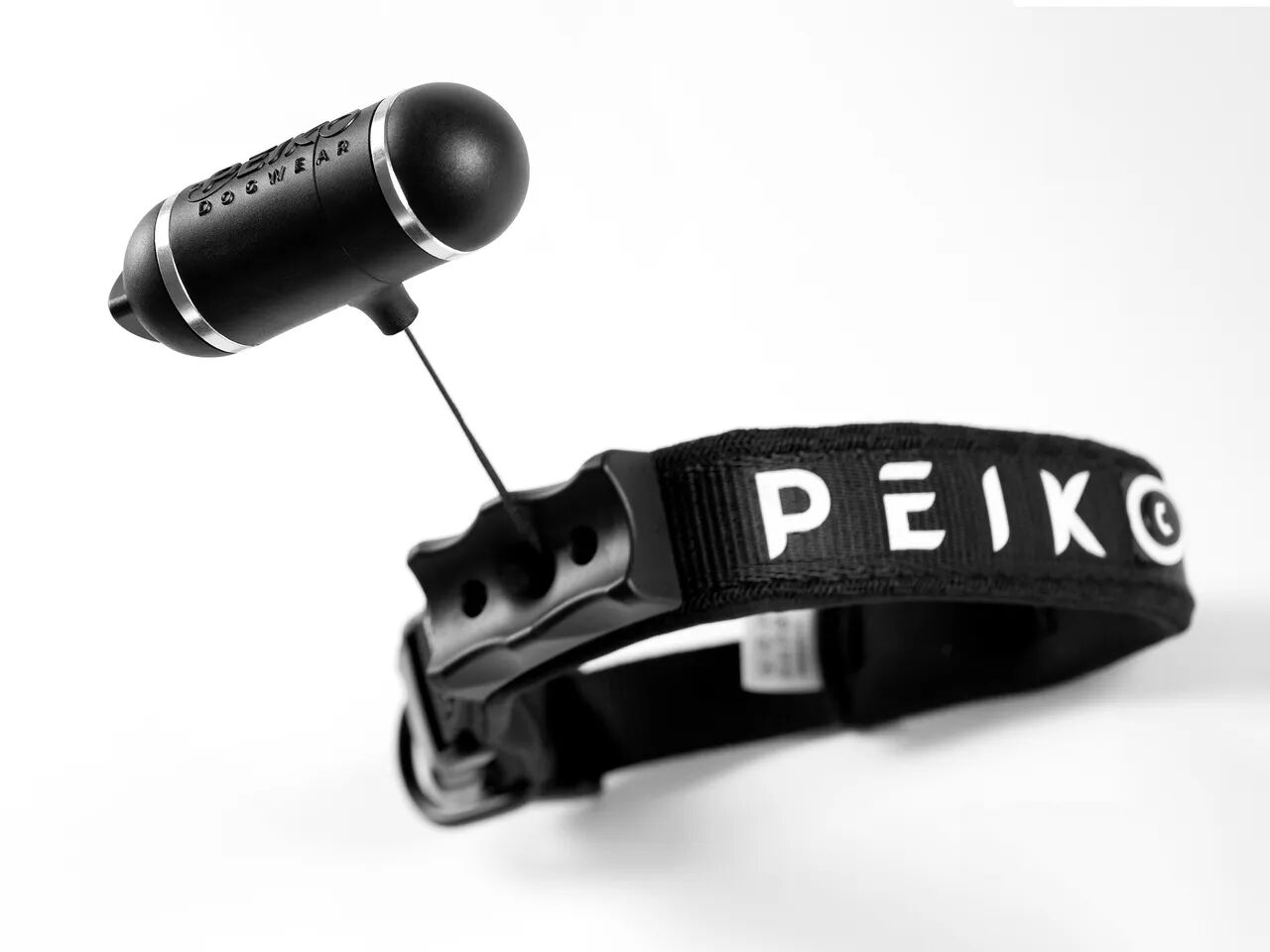 Integrated leash in collar