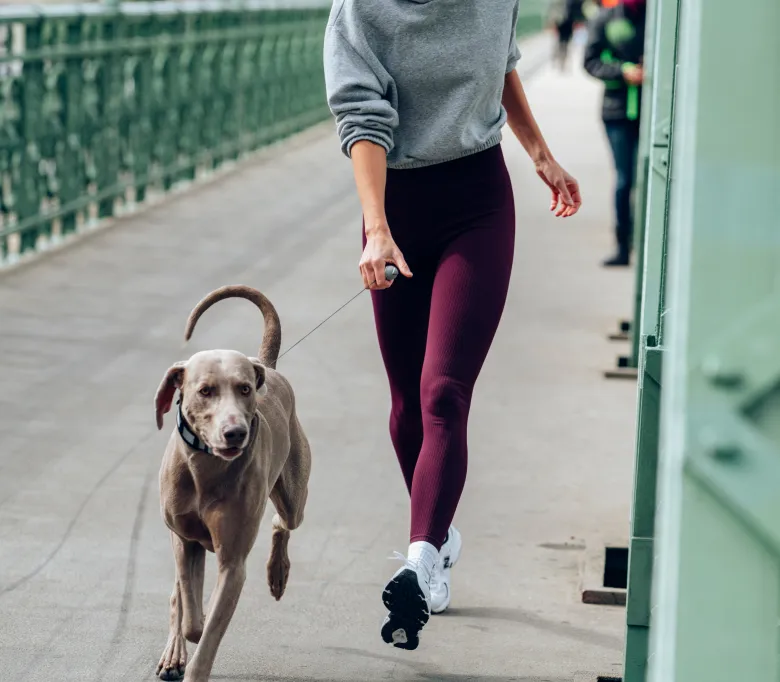 Integrated leash in collar