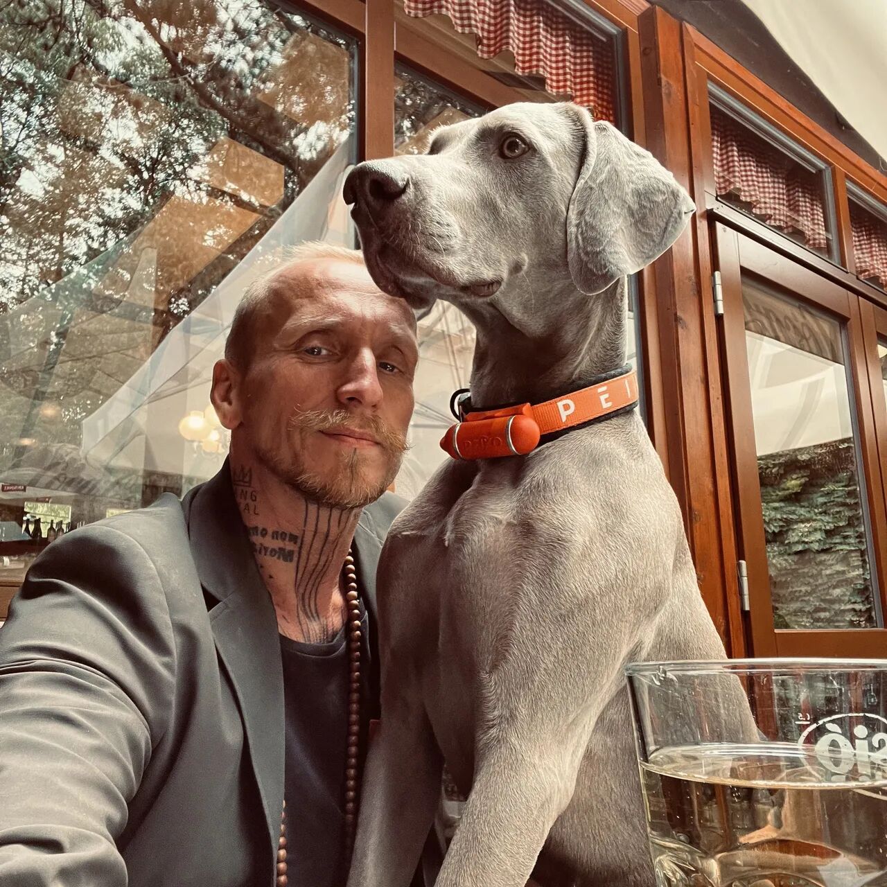 PEIKO® Quickleash™ Dogcollar With Built-in Retractable Dog Leash