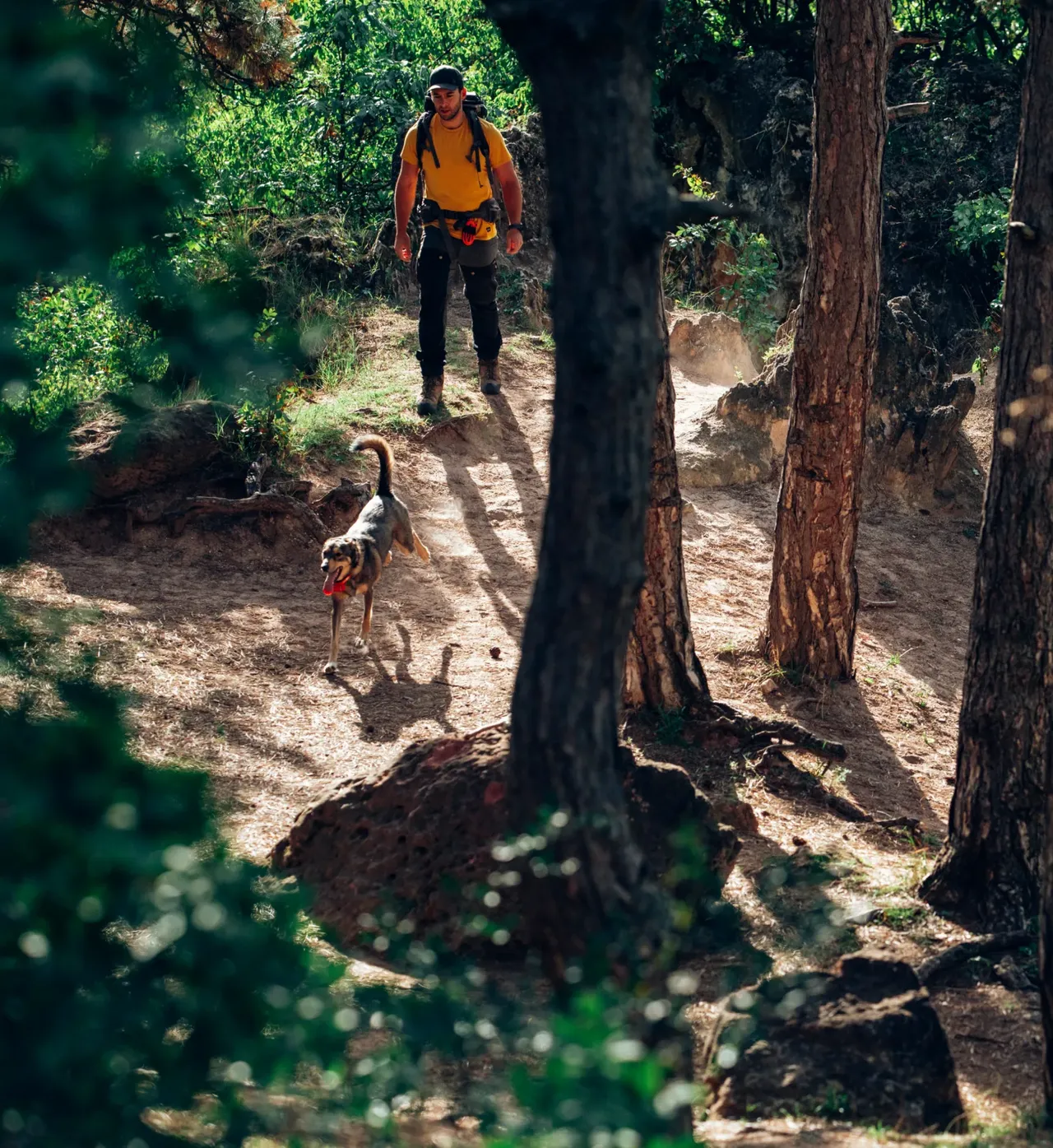 PEIKO® Quickleash™ Dogcollar With Built-in Retractable Dog Leash