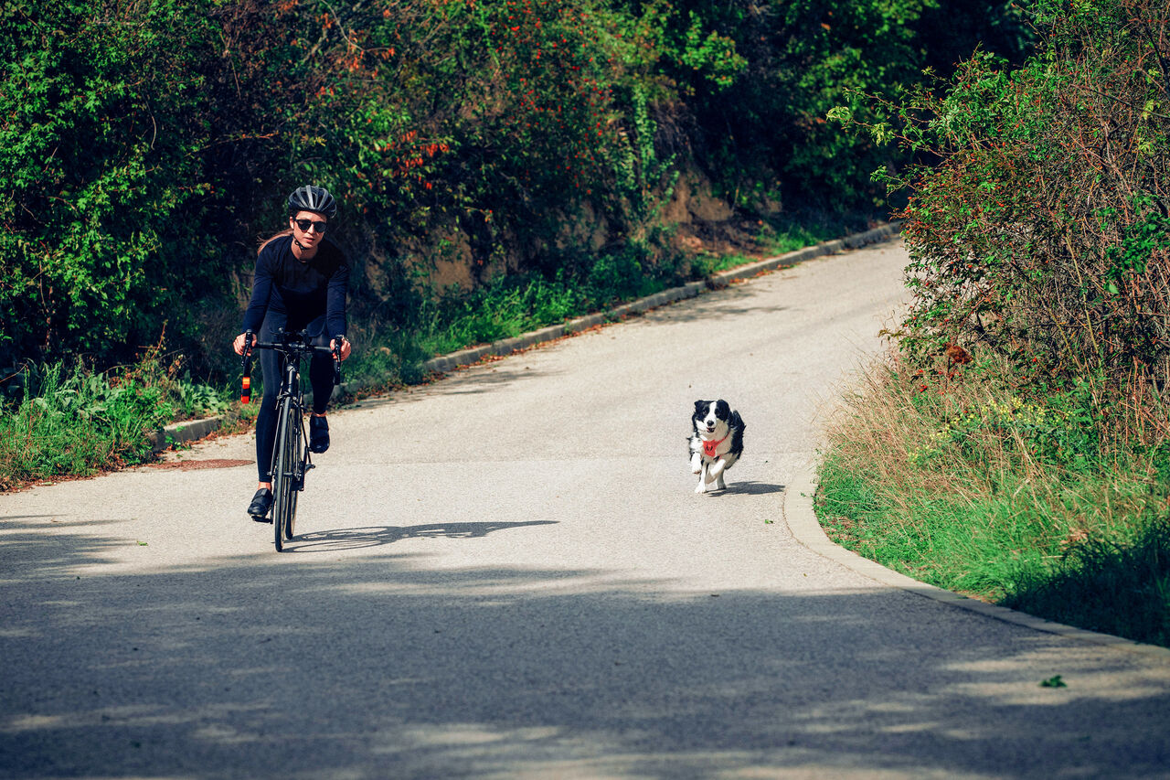 PEIKO® Quickleash™ Dogharness With Built-in Retractable Dog Leash