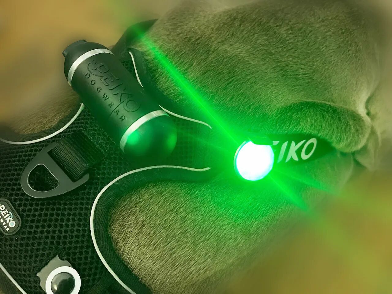 rechargeable-peiko-nite-dog-light-usb-c